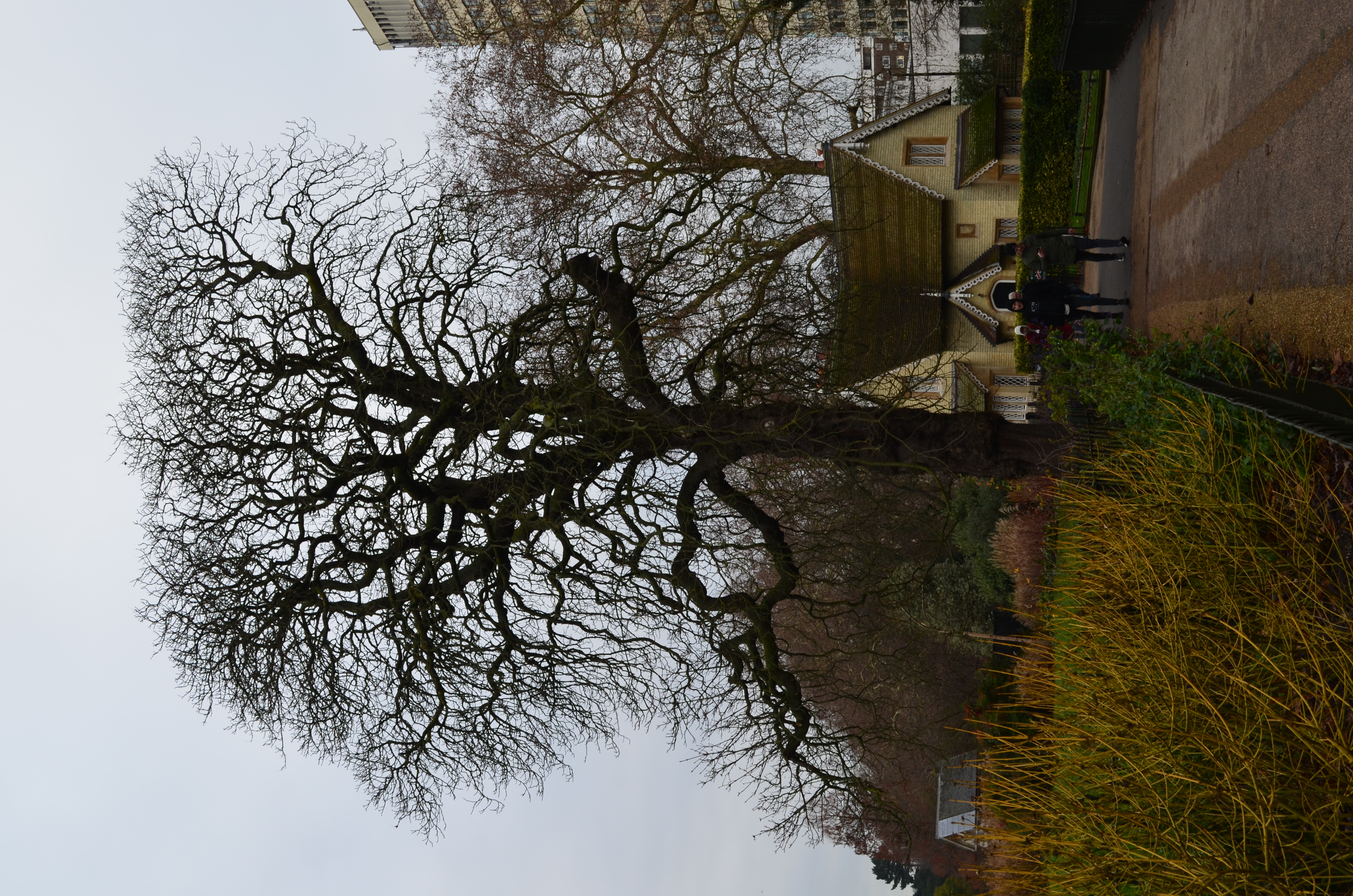 ./2018/15 - London/03 - Day 3/DSC_0318.JPG